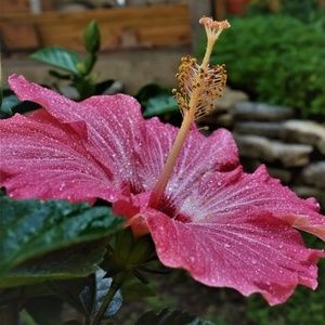 Meet your Posher, Dan